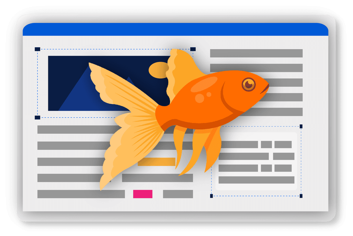 Goldfish attention span