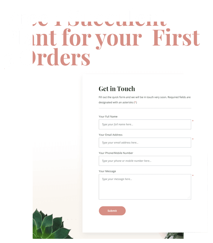 Free 1 Succulent Plant for your first 3 Orders
