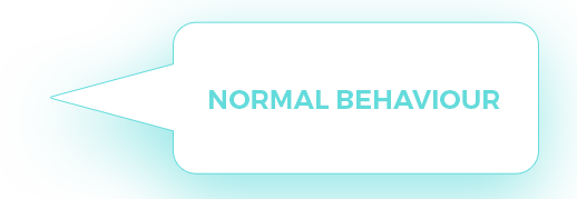 Normal Behaviour